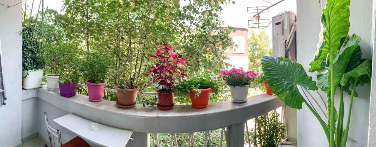 Korca Central Flat Екстериор снимка